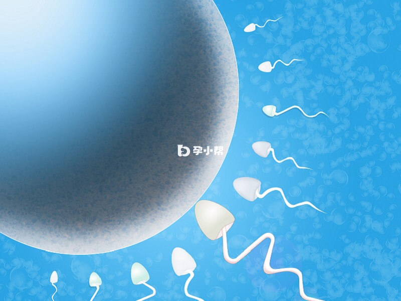 海南第一附属医院的第三代试管成功率很高