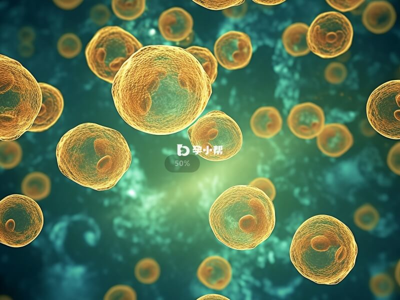 中山六院的囊胚移植成功率较高