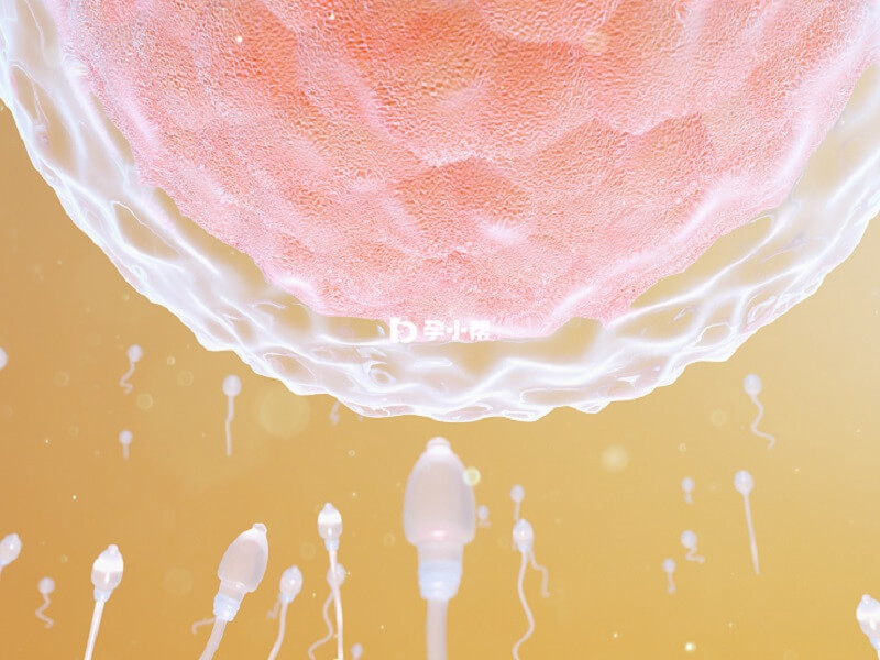 海医一附院试管婴儿需要经过6个步骤