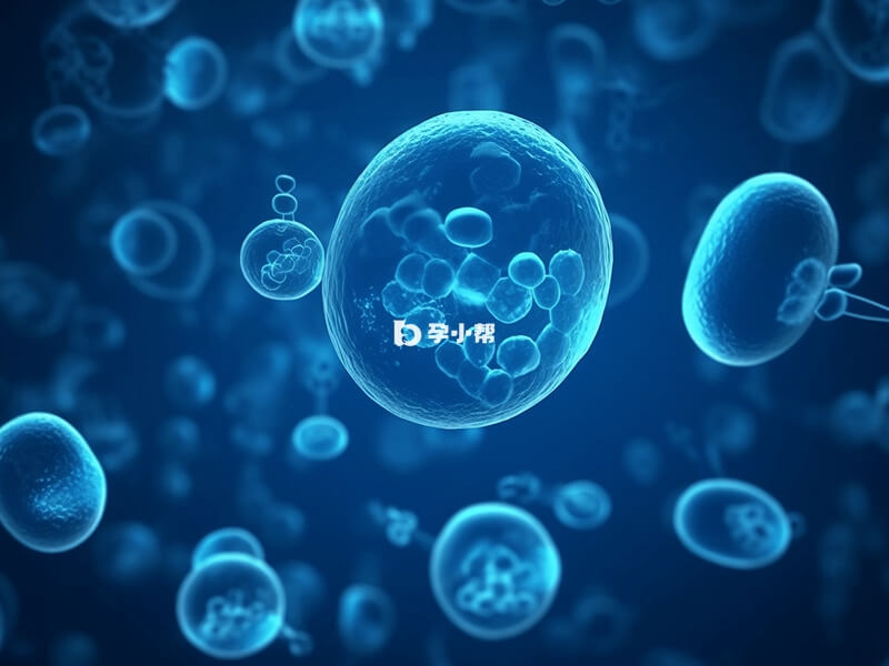 美国冻卵需要2-3周的时间