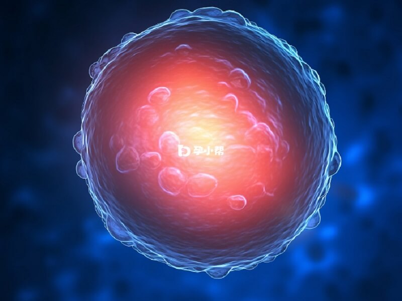 三代试管的成功率取决于患者自身的情况