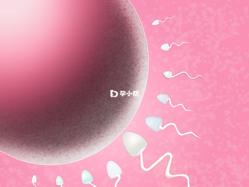 海南医学院第一附属医院可以做供卵试管