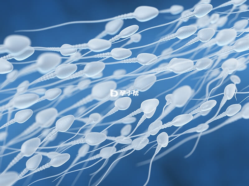 做一次人工授精费用在3000-6000元