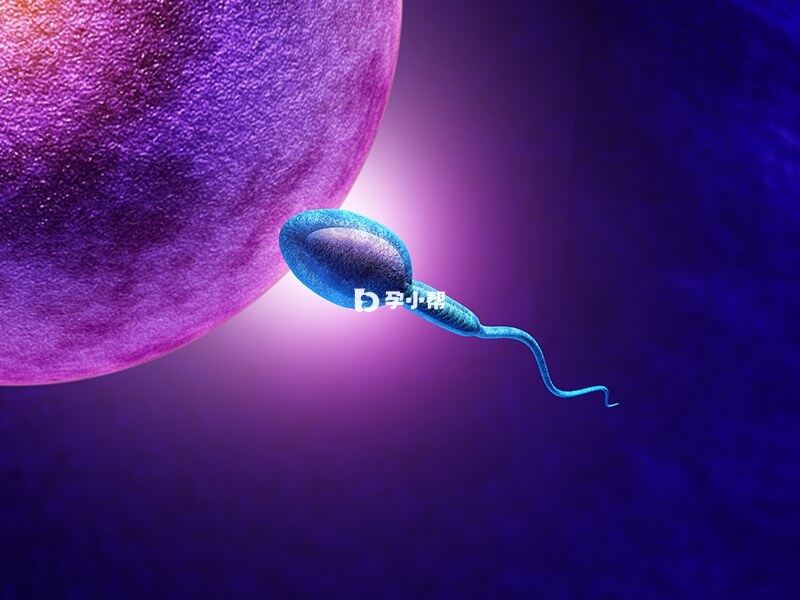 上海集爱医院做试管不错