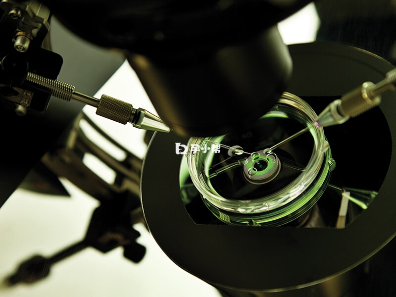 试管前男女双方要进行基本的体检