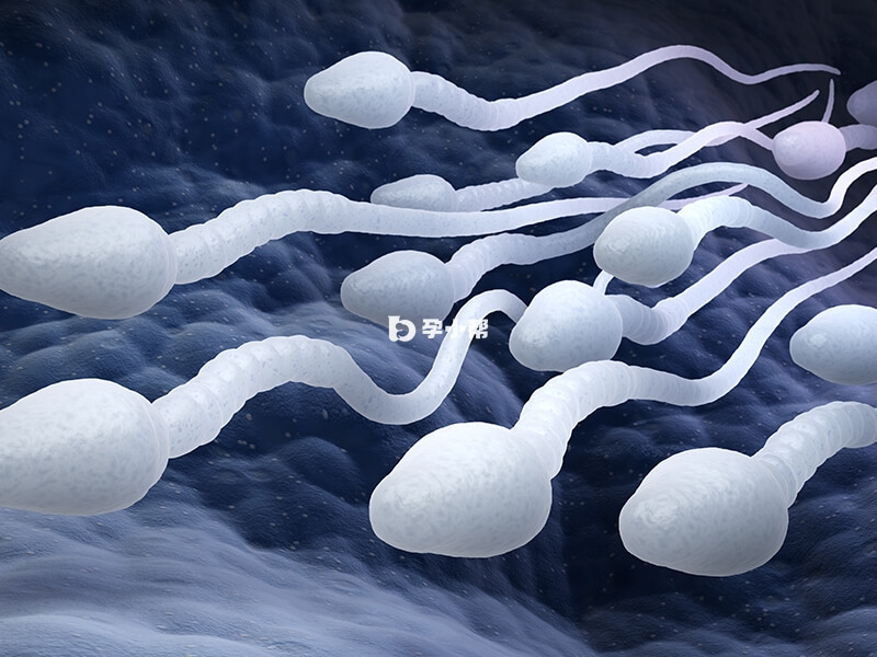 沈阳市妇婴医院可做人工授精