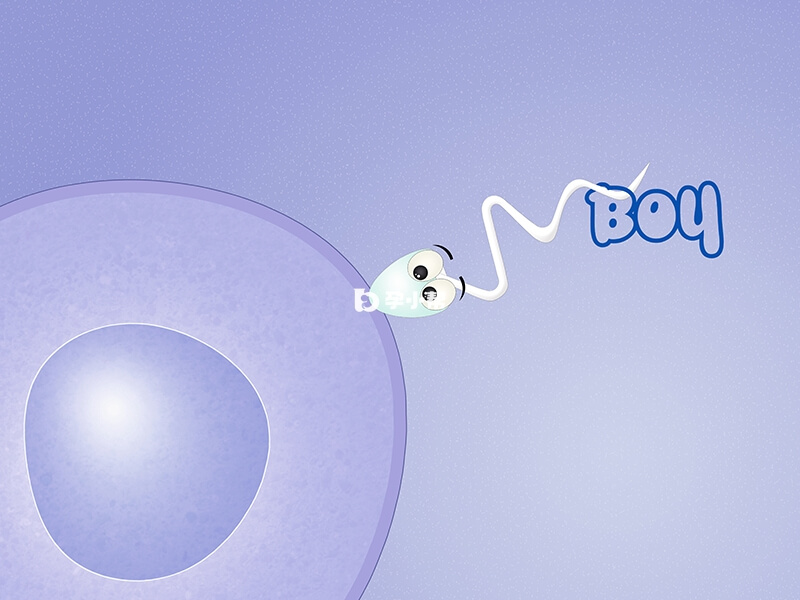 山西省人民医院做人授比较好