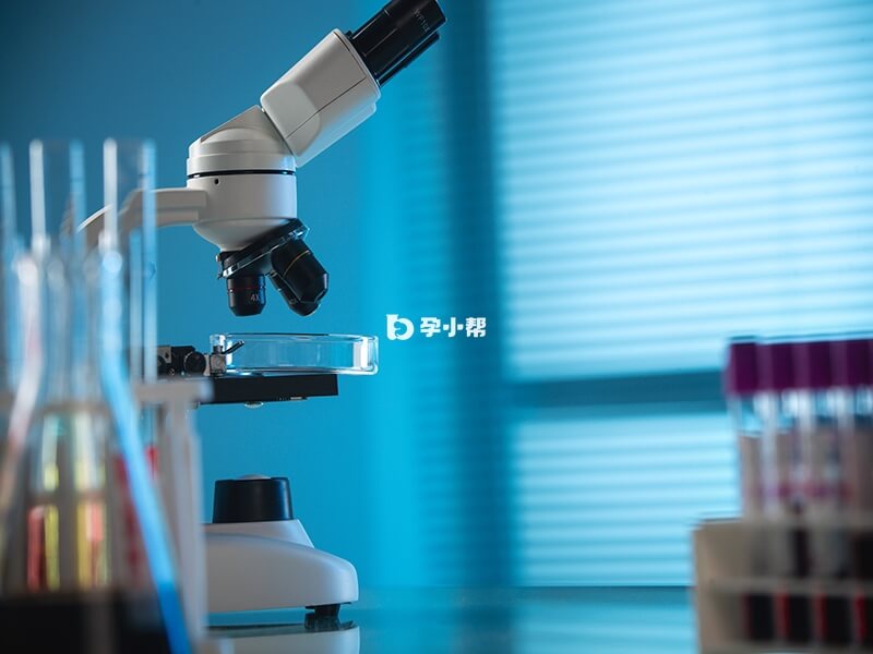 北京的试管成功率总体比较高