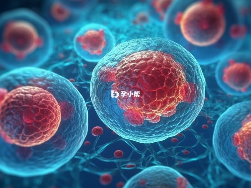 取卵的具体过程一共分为三大步骤