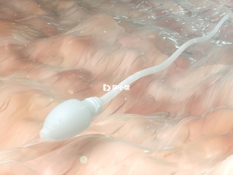 试管前男性需做精液常规检查