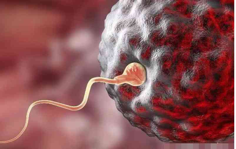 子宫前位要怎么做才能让精子进入子宫成功怀孕