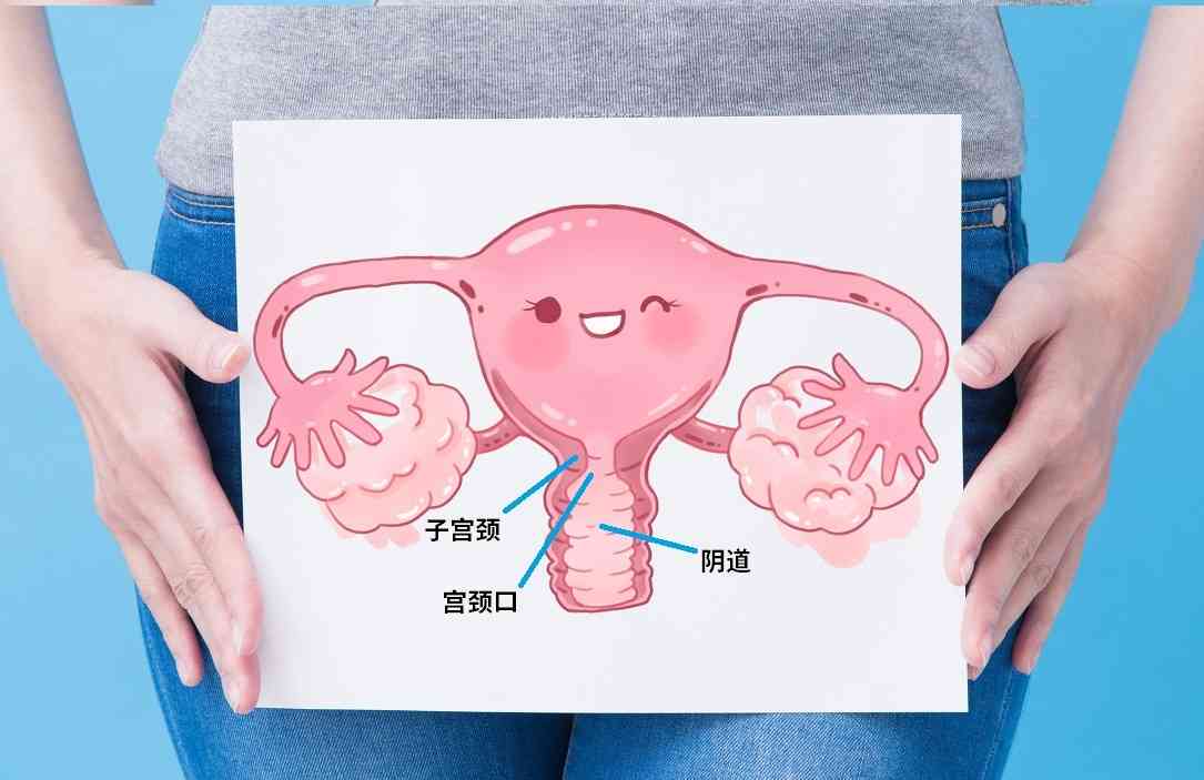 产后子宫收缩过程图片图片