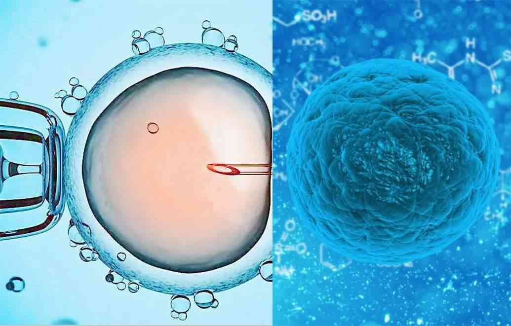 胚胎养囊说明胚胎质量好还是不好？