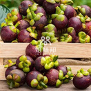 #孕妇可以吃山竹吗