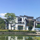 #安徽试管婴儿