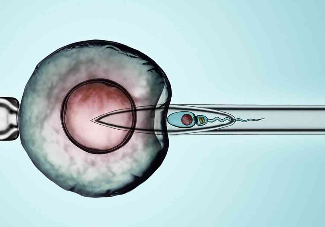 巢倍滋可以在试管婴儿前期调理卵巢