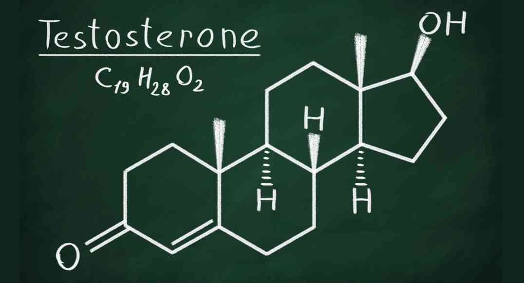 睾酮在临床上又被称为睾丸素