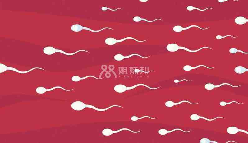 精子在输卵管存活时间最久