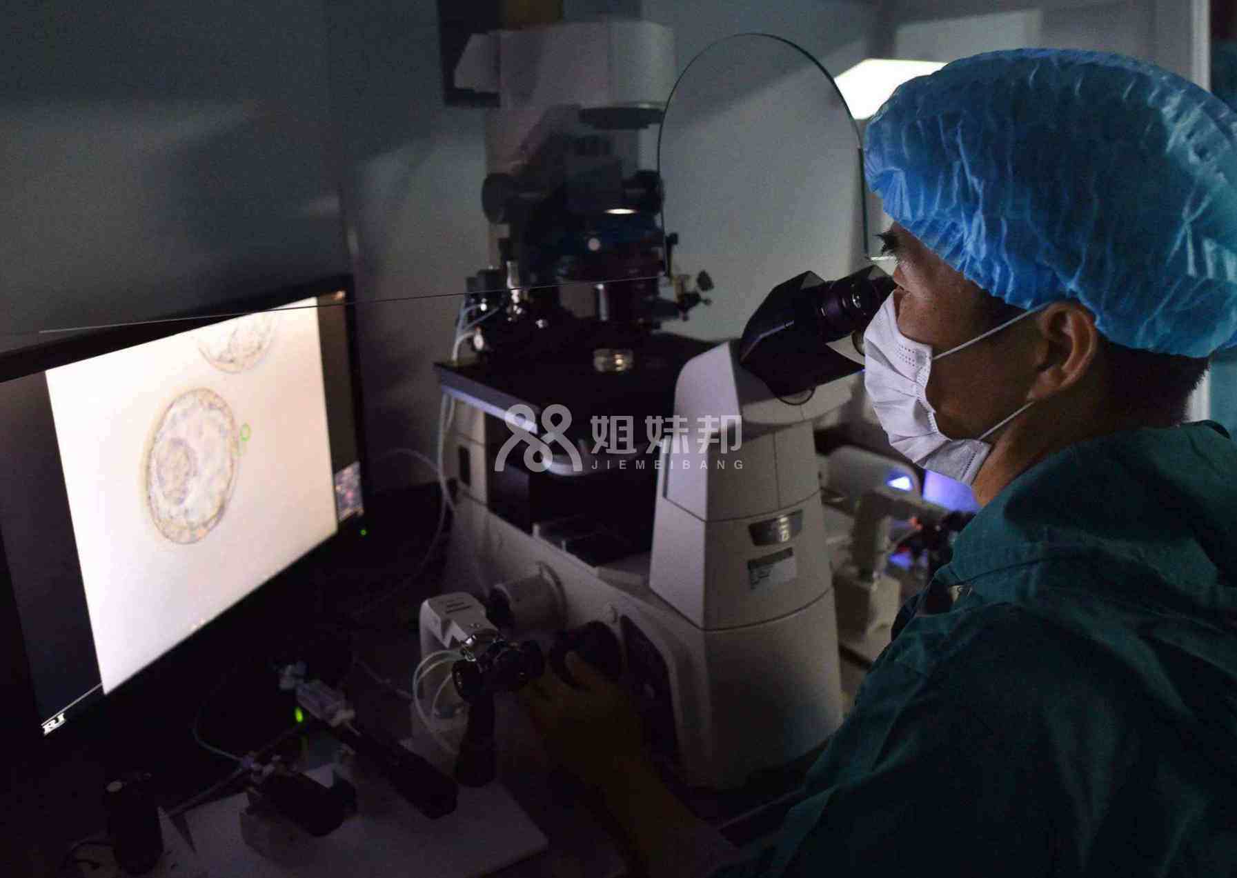 试管成功率受多个因素影响